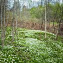 Фотография от Татьяна Семёнова(Лучкина)