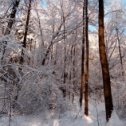 Фотография от Владимир Лукьянченков