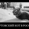 Фотография от Константин Бадыкин