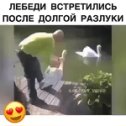 Фотография от Татьяна Бухольцева