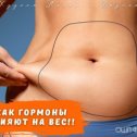 Фотография от ✵✵Ирина✵✵ Худеем в ОШП ФеникС✵✵