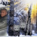 Фотография "папа  я  сделала  токую  рамку  с волками  потому  что  я знаю  что ты любишь  волков"