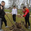 Фотография от Шарьинское лесничество