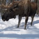 Фотография от Александр Турыгин