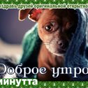 Фотография "Хочешь поздравить друзей красивой открыткой? Заходи к нам! http://www.odnoklassniki.ru/app/minutta"