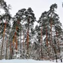 Фотография от ВАЛЕРА КОВАЛЁВ