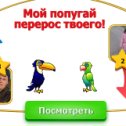 Фотография "УЛЬЯНА, мой попугая перерос твоего. Попробуй догони! http://www.ok.ru/game/1142001664"