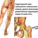 Фотография от Татьяна Медикова MEDICAL