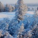 Фотография от Aлександр Вальковский