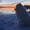 Фотография от Сергей Прохоренко