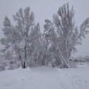 Фотография от Александр Косьмин