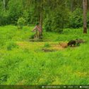 Фотография от Николай Черепенин