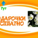 Фотография от феми ибрагимов