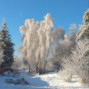 Фотография от Валерий Богомолов