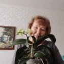 Фотография "У меня Орхидея расцвела !С Днём рождения, меня!"