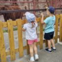 Фотография "Маша и Миша в зоопарке."