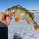 Фотография "Закрыли сезон подлёдной рыбалки🙂🎣👍 #зимняярыбалка #нарибалке #окунь #морячки #зимнийлов #рыбак #fish #ψσαρι #fishing #ψσαρεμα #Казахстан🇰🇿 #караганда #природа #отдых 👍Клевало слабовато,но клевало🎣"