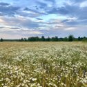 Фотография от Александр природный мёд