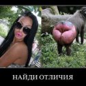 Фотография от Федя Рашпиль