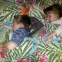 Фотография "Спят усталые детишки"