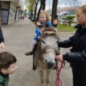 Фотография от Ирина Рачковская(Меркуль)