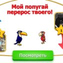 Фотография "Зайка, мой попугая перерос твоего. Попробуй догони! http://www.ok.ru/game/1142001664"