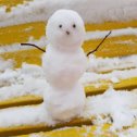Фотография "https://www.instagram.com/p/BrCtfLnhn9Y/?igref=okru
Привет зима!!!!!! #зима #снеговик #снег #москва #декабрь #маловфото #mslovfoto #winer #snow #moskva #moscow #december"