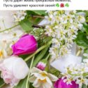 Фотография от Галина- Фея Хрунич