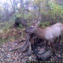 Фотография от Роман Непомнящий