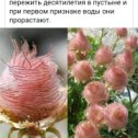 Фотография от Гульнара Гайфутдинова