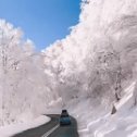 Фотография от Сергей и Татьяна Кондрашовы (Рышкевич)