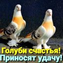 Фотография от დ●•·˙Бесплатные Подарки˙·•●​​დ