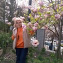 Фотография "В Ростове расцвела магнолия! Весна! "