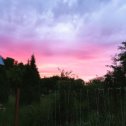Фотография "Лето 2019, дача, закат перед ночным дождем. Сегодня очень красивый #закат"