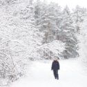 Фотография "Первый снег - ноябрь"