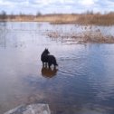 Фотография "“Снова весна. Земля подобна ребенку, который знает стихи наизусть”. — Райнер Мария Рильке

"