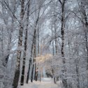 Фотография от Александра Петушкова(Драбынка)