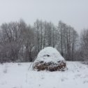 Фотография "Начало зимы"