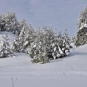 Фотография от Александр Данильчев