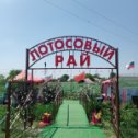 Фотография от Анжела Цуркану