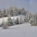 Фотография от Александр Данильчев