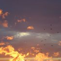 Фотография "небо в огне"