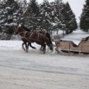 Фотография от Елизавета Ос