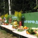 Фотография "Достижения садоводов - огородников - выставка."