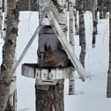 Фотография от Ольга Тингаева (Соловьева)