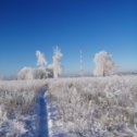 Фотография от Наталья Гражданова