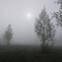 Фотография "Утро туманное"