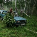 Фотография от АНДРЕЙ СЕМЕНИХИН