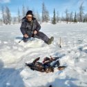 Фотография "Степан со своим богатым уловом окушков на Ямале . фото Степана Лапсуй ."