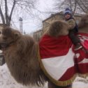 Фотография от Валентина Гребенюк